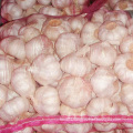 New Crop High Quality Chinese Garlic